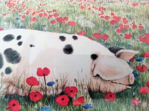 Stunning Pigs in Bloom Print `Poppy` #