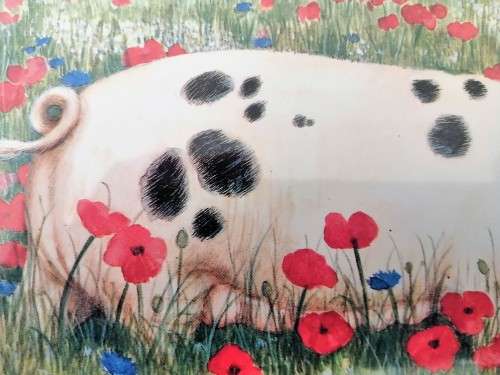 Stunning Pigs in Bloom Print `Poppy` #