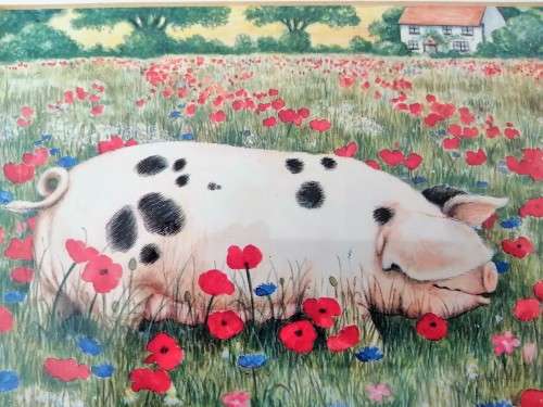 Stunning Pigs in Bloom Print `Poppy` #