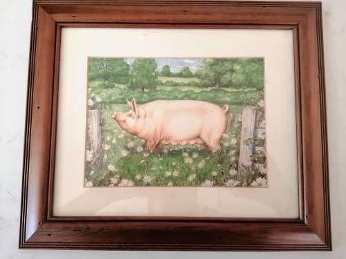 Stunning Pigs in Bloom Print `Large White` #