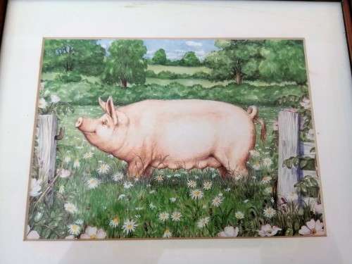 Stunning Pigs in Bloom Print `Large White` #