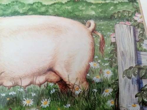 Stunning Pigs in Bloom Print `Large White` #
