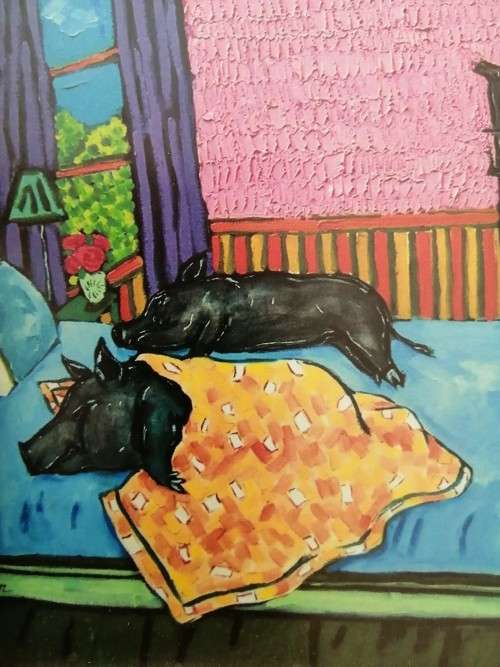 Stunning Pig under Moonlight LTD Print #