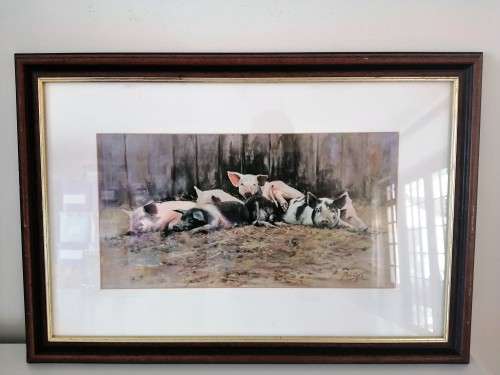 Paul Apps Print resting pigs 1993 framed #