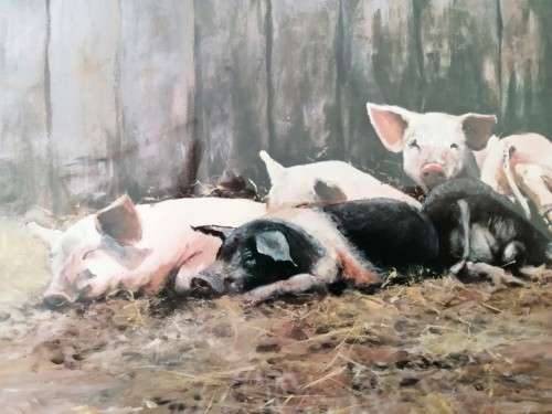 Paul Apps Print resting pigs 1993 framed #