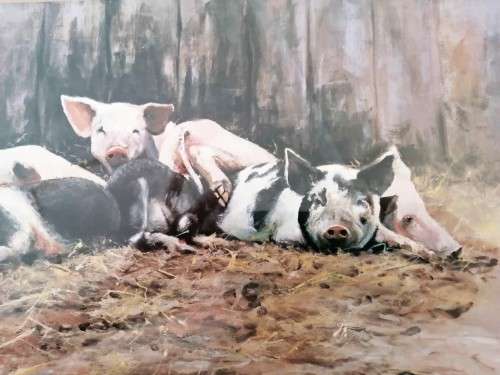 Paul Apps Print resting pigs 1993 framed #
