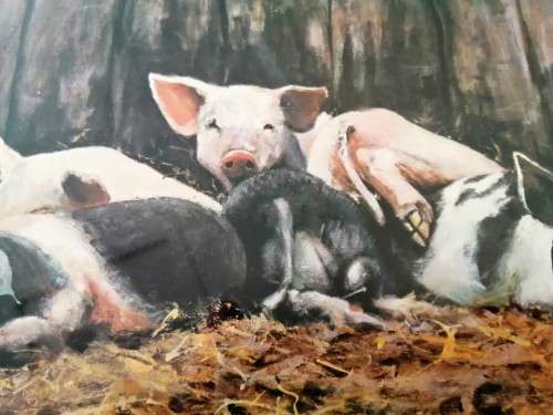 Paul Apps Print resting pigs 1993 framed #