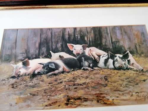 Paul Apps Print resting pigs 1993 framed #