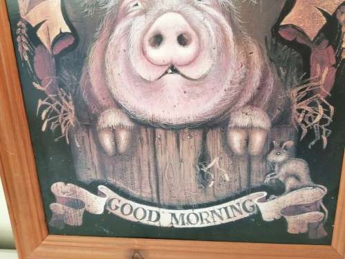 Large Pig Hog Counttry Life Print on Board Framed #
