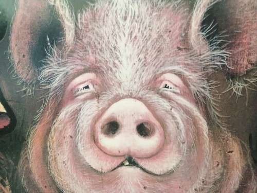 Large Pig Hog Counttry Life Print on Board Framed #