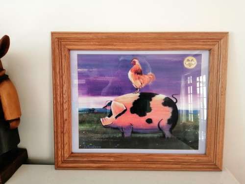Large Chicken on Pig Print Framed #