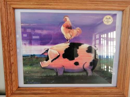 Large Chicken on Pig Print Framed #