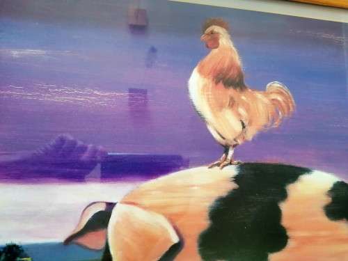 Large Chicken on Pig Print Framed #