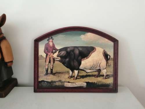 Large Oil On board Sussex Champion Pig `Caesar` #