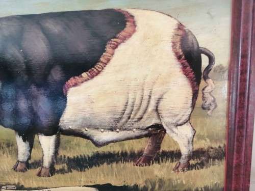 Large Oil On board Sussex Champion Pig `Caesar` #