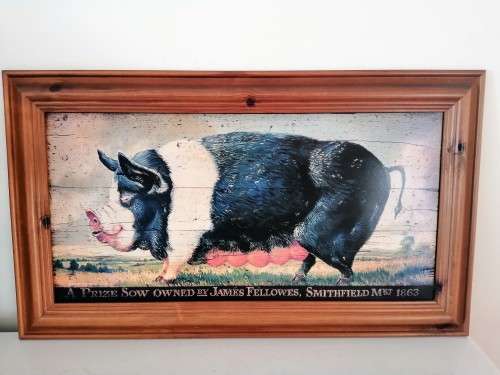 Large Sow / Pig Print on Board Prize Sow 1863 #