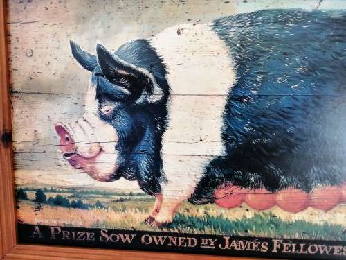 Large Sow / Pig Print on Board Prize Sow 1863 #