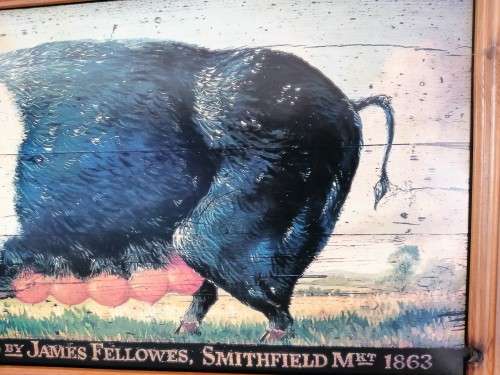 Large Sow / Pig Print on Board Prize Sow 1863 #