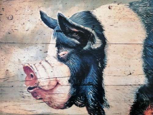 Large Sow / Pig Print on Board Prize Sow 1863 #