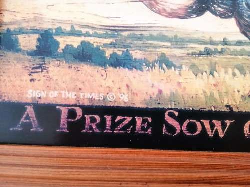 Large Sow / Pig Print on Board Prize Sow 1863 #