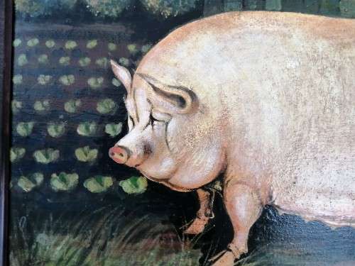 Large Oil on Board White Pig Sow #