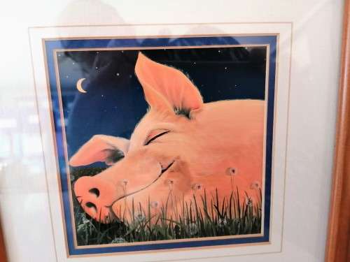 Stunning Pig under Moonlight LTD Print #