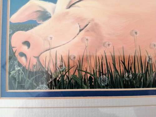 Stunning Pig under Moonlight LTD Print #
