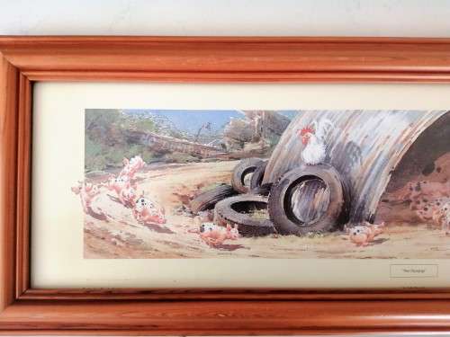 Large Pig and piglets John hayson print ` The Olympigs ` framed #