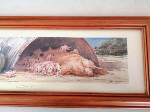 Large Pig and piglets John hayson print ` The Olympigs ` framed #