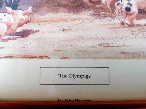 Large Pig and piglets John hayson print ` The Olympigs ` framed #
