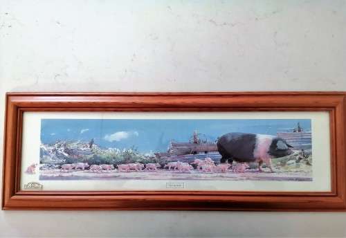 Large Pig and piglets John hayson print ` Down and Snout ` framed #