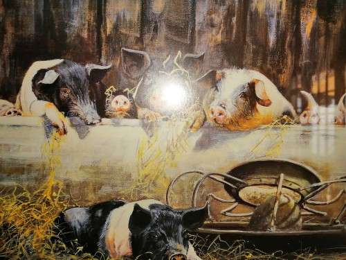 Paul Apps Print Resting Pigs 1993 Framed