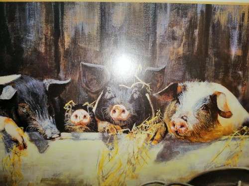 Paul Apps Print Resting Pigs 1993 Framed