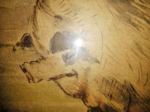 Antique Watercolour of Large Pig pre c1900 #