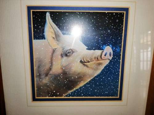 Stunning Pig under Moonlight LTD Print #