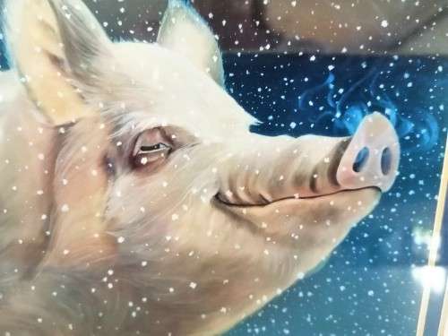 Stunning Pig under Moonlight LTD Print #