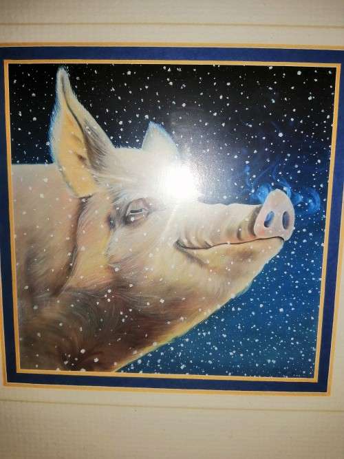 Stunning Pig under Moonlight LTD Print #