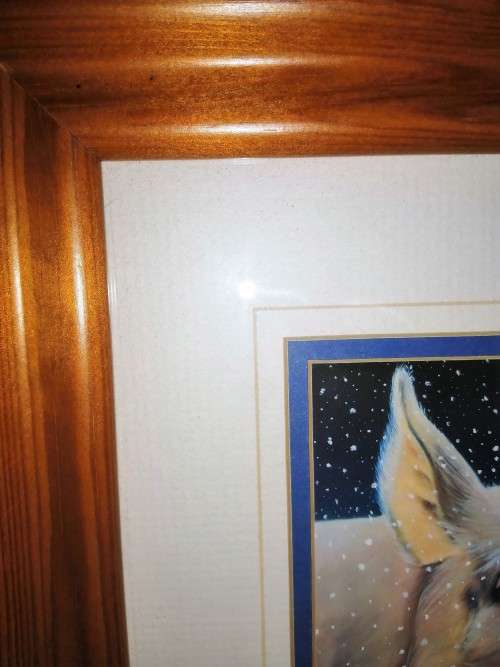 Stunning Pig under Moonlight LTD Print #