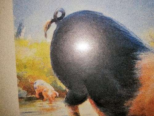 Pig and piglets John hayson print ` Hogwash ` framed #