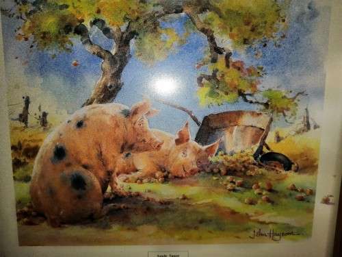 Pig and piglets John hayson print ` Apple Sauce ` framed #
