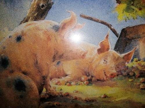 Pig and piglets John hayson print ` Apple Sauce ` framed #