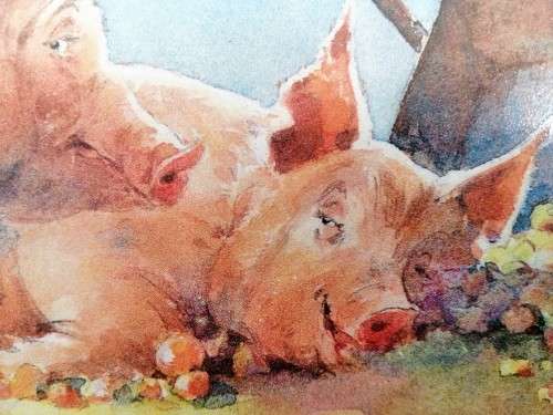 Pig and piglets John hayson print ` Apple Sauce ` framed #