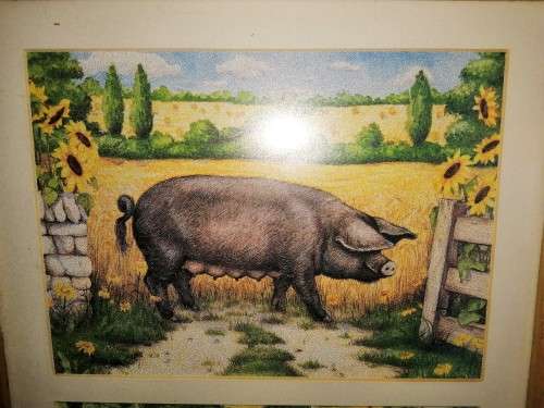 Stunning Pigs in Bloom Print Poppy and Other Pig #