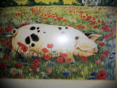 Stunning Pigs in Bloom Print Poppy and Other Pig #