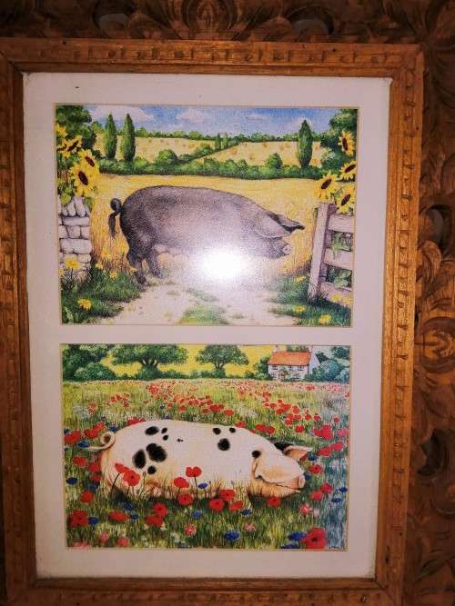 Stunning Pigs in Bloom Print Poppy and Other Pig #