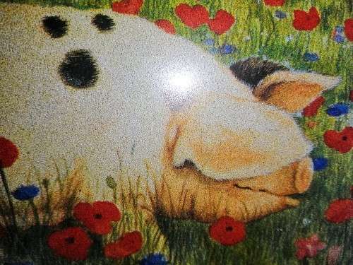 Stunning Pigs in Bloom Print Poppy and Other Pig #