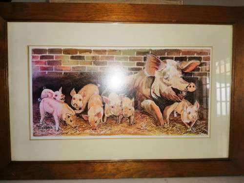 Pig Picture By Jackie Gethin Framed #