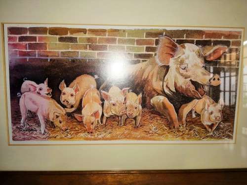 Pig Picture By Jackie Gethin Framed #