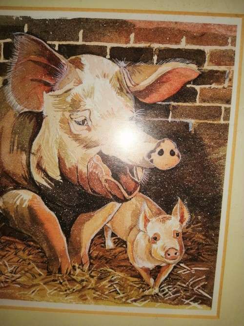 Pig Picture By Jackie Gethin Framed #