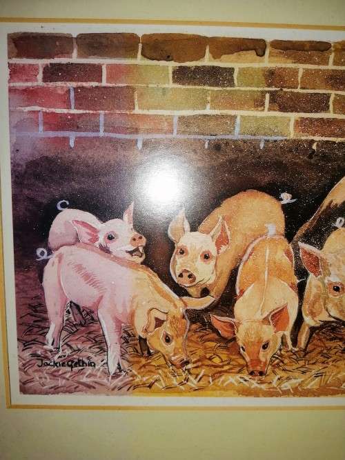 Pig Picture By Jackie Gethin Framed #